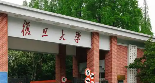 上海985，又成立母基金了